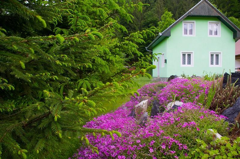 Pataki Kulcsoshaz Villa Izvoare  Exterior foto